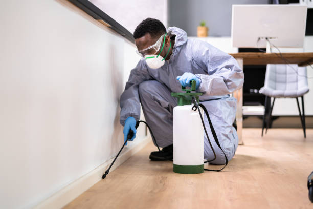 Best Pest Exclusion Services  in Pleasant Hill, CA